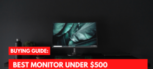 Best Monitor Under $500